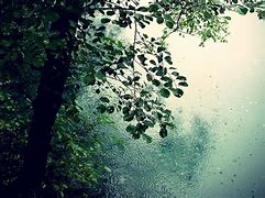 Image result for Rain Screensaver