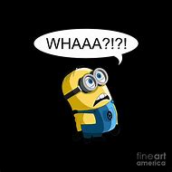 Image result for Minion Whaaa