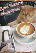 Image result for Good Morning Cat Friday