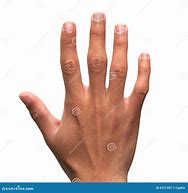 Image result for A Human Hand