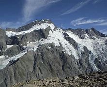 Image result for NZ Alpine Ground Cover