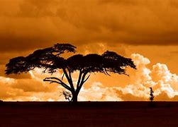 Image result for Beautiful Kenya Sunset