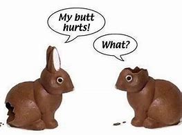 Image result for Easter Bunny Humor