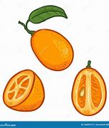 Image result for Kumquat Tree Cartoon