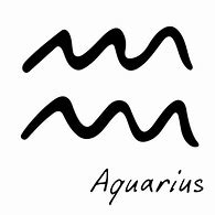 Image result for Aquarius Birth Sign