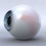 Image result for Human Eyeball