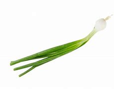 Image result for Chives Shaker PNG