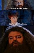 Image result for Wizard Harry