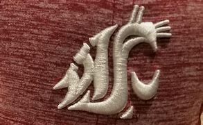 Image result for Wazzu Cougs