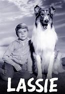 Image result for Poor Lassie