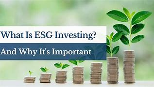 Image result for What Is ESG Investing