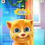 Image result for Ginger Talking Tom Meme