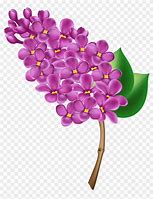 Image result for Purple Flower Clip Art No Background