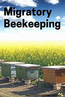 Image result for Migratory Beekeeping