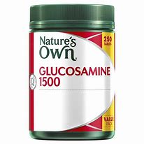 Image result for Glucosamine 1500Mg