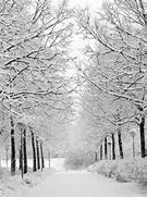 Image result for Korea Winter Wallpaper