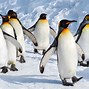 Image result for Love Actually Penguin Readers