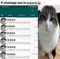 Image result for OH Delivery Wawa Cat Meme