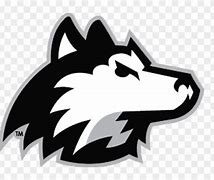 Image result for NIU Hockey Logo