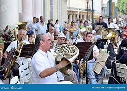 Image result for French Horn Orchestra