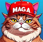 Image result for Maga Cat 2K