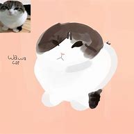 Image result for Face of Wawa Cat