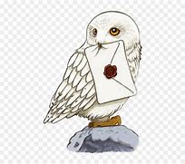 Image result for Harry Potter Owl with Glasses