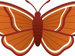 Image result for Moth HD