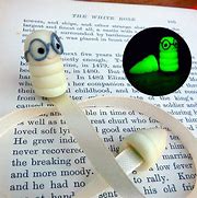 Image result for Glow in the Dark Plastic Worms