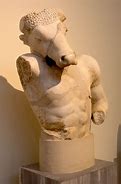 Image result for Minotaur Warrior