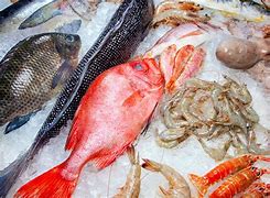 Image result for Seafood Mart