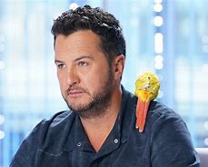 Image result for Luke Bryan American Idol