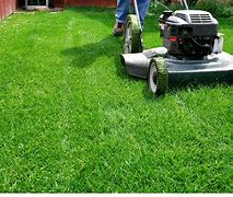 Image result for Babin Lawn Care