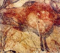 Image result for 20 000 BC