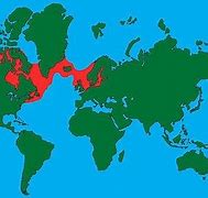 Image result for Sea Lion Map