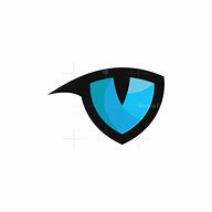 Image result for Eye Patch Cat Logo