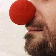 Image result for Clown Nose and Horn