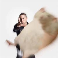 Image result for Throwing Things Meme