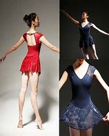 Image result for Ballet Leotard Dress