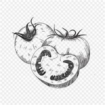 Image result for Lukisan Tomato