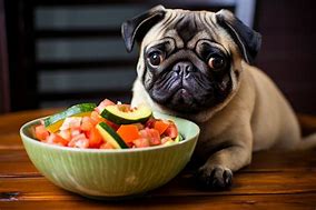 Image result for Pug Eating Tuna