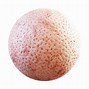 Image result for Macro Skin Pores