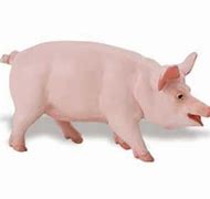 Image result for Plastic Pig Toy