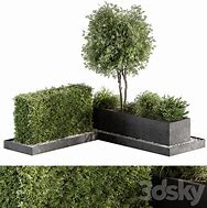 Image result for Outdoor Boxit Plant