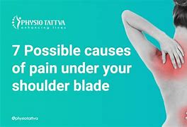 Image result for Muscle Under Shoulder Blade