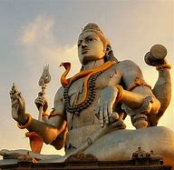 Image result for Shiva Arms