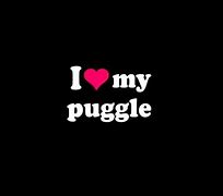 Image result for Puggle Love