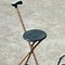 Image result for Best Walking Cane with Seat