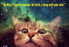 Image result for Outer Space Cat Meme