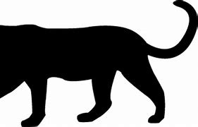 Image result for Black Panther Silhouette